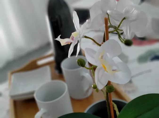 Precioso Loft En Apartman *