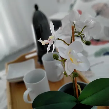 Precioso Loft En Apartment *